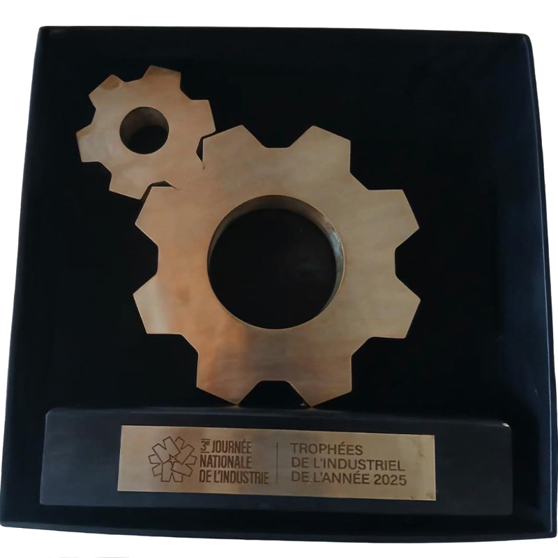 Trophée industriel en laiton représentant deux engrenages métalliques sur un support noir, avec plaque gravée Trophées de l'Industrie de l'Année 2025